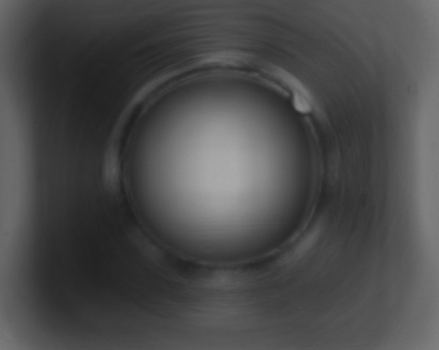 X0000101420923200807071312