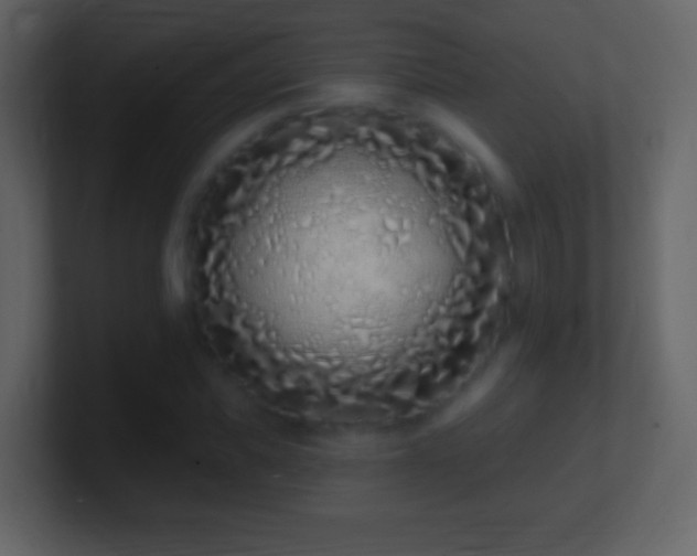 X0000101420925200807071312