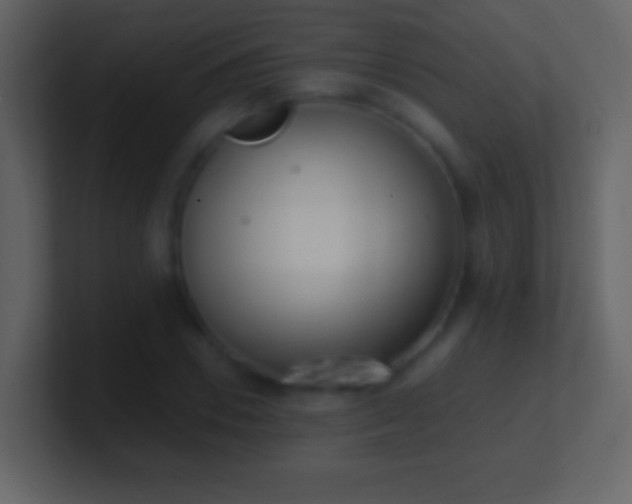 X0000101420930200807071312