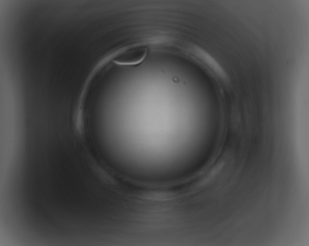 X0000101420932200807071312