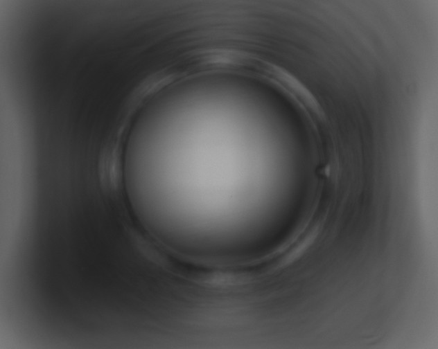 X0000101420938200807071313