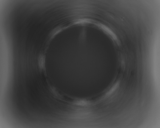 X0000101420945200807071313