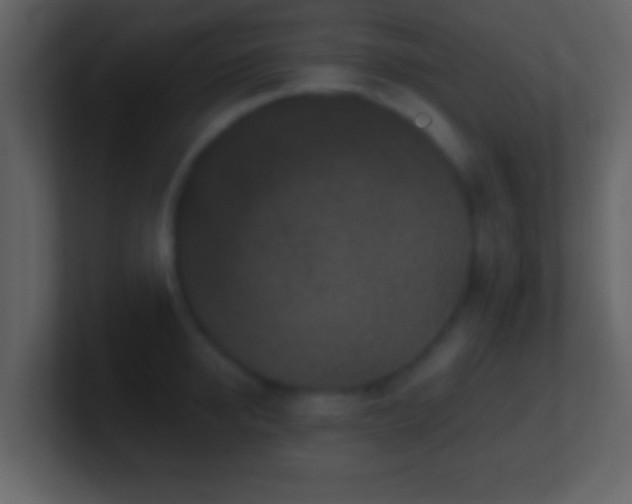 X0000101420950200807071313