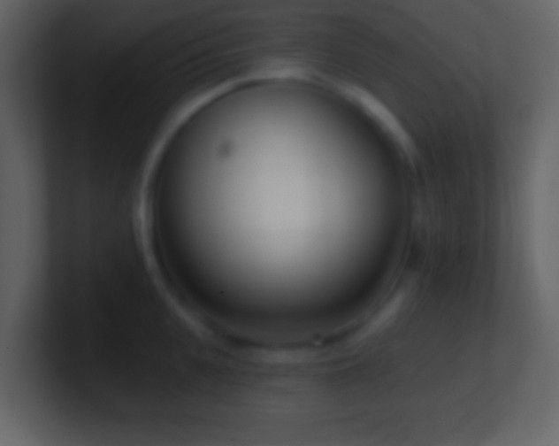 X0000101420951200807071313