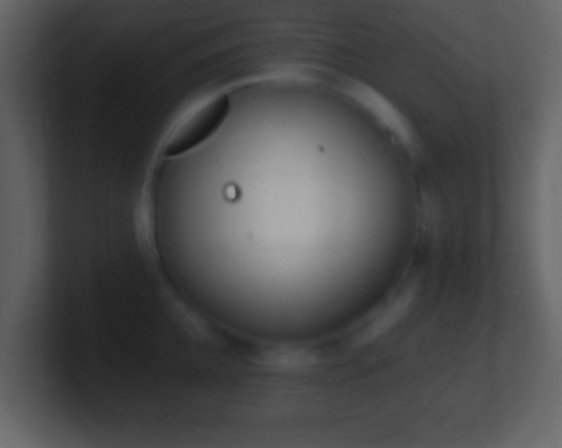 X0000101420952200807071313
