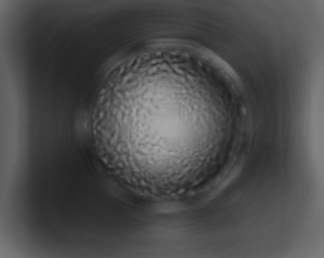 X0000101420953200807071313