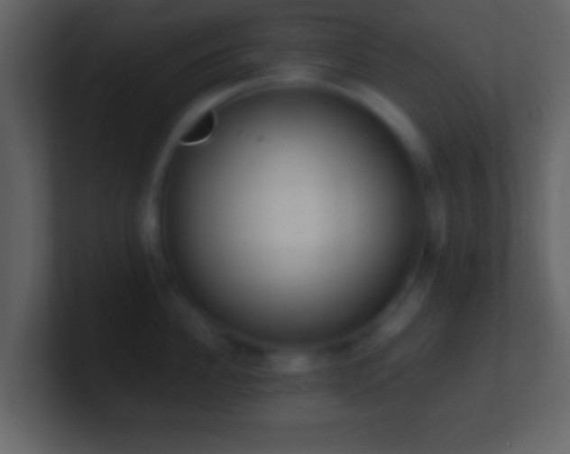 X0000101420956200807071313