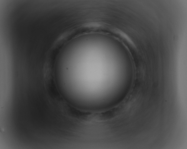 X0000101420967200807071312