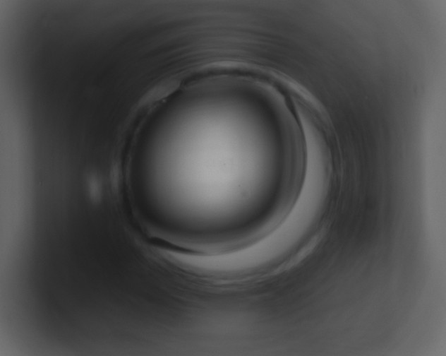 X0000101420969200807071312