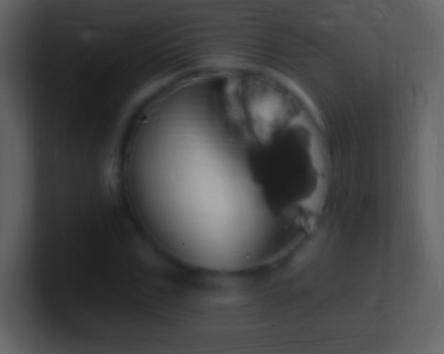 X0000101420971200807071312