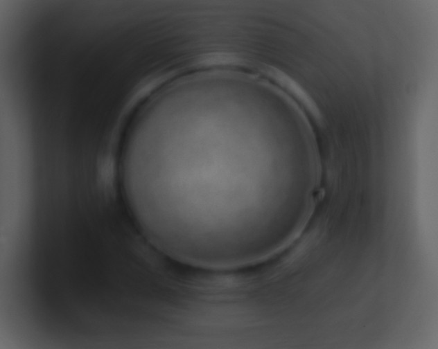 X0000101420975200807071312