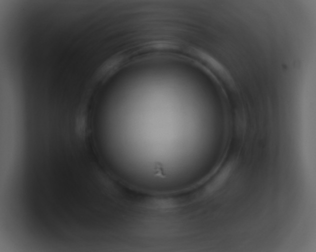 X0000101420977200807071312