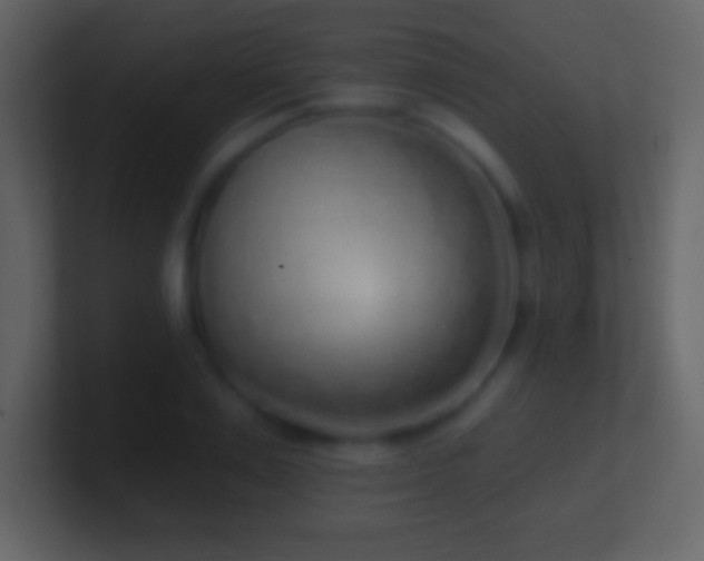 X0000101420983200807071312
