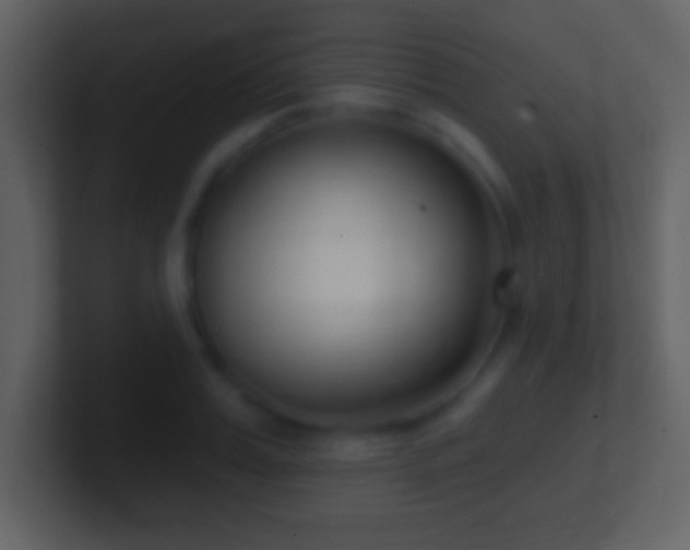 X0000101420987200807071312