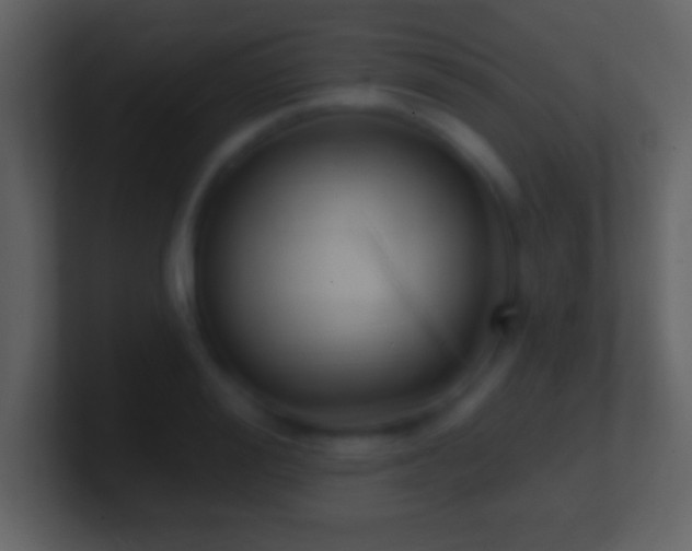 X0000101420988200807071312