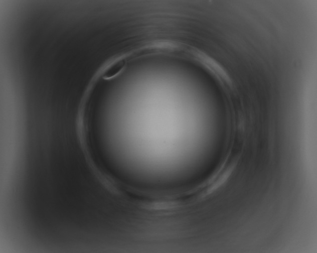X0000101420989200807071312