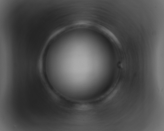 X0000101420991200807071312