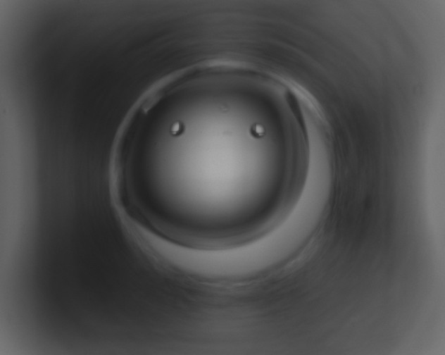 X0000101420992200807071312