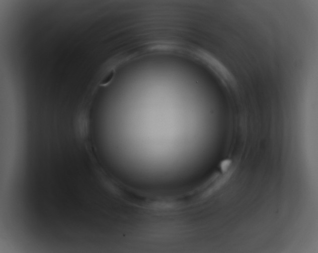 X0000101420993200807071312