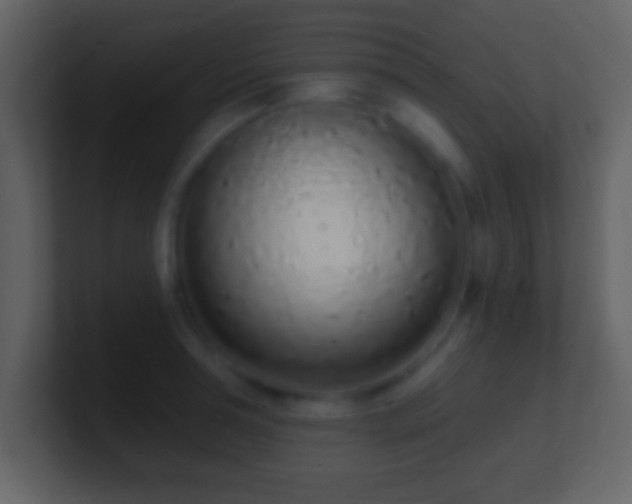X0000101420994200807071312