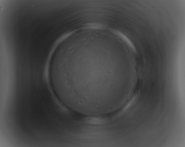 X0000101420995200807071312