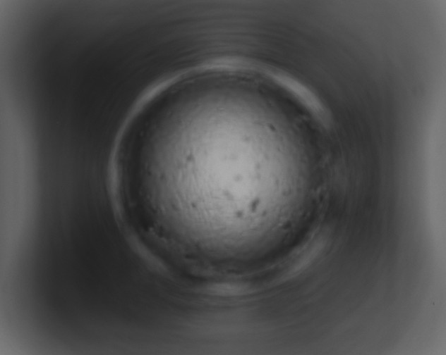X0000101420998200807071312