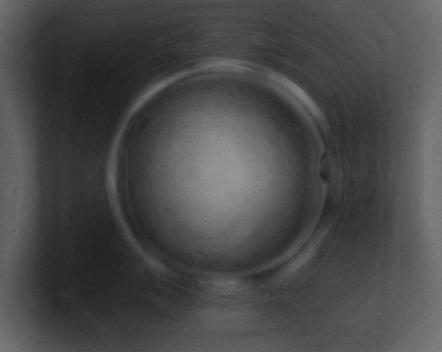 X0000101421007200807071312