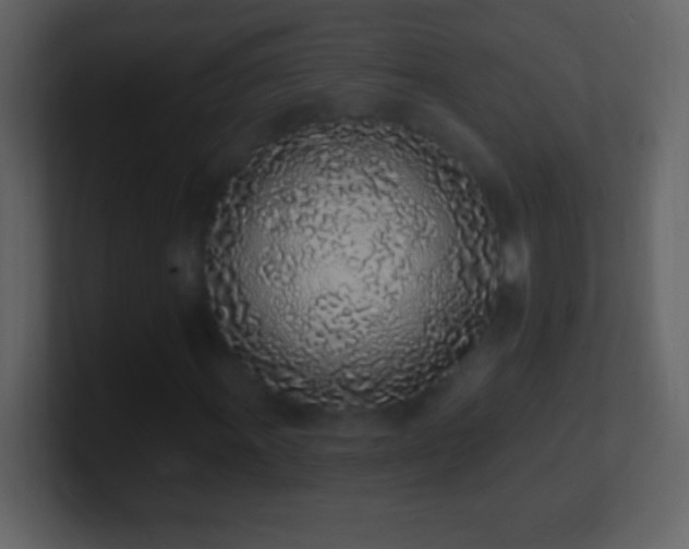 X0000101421011200807071311