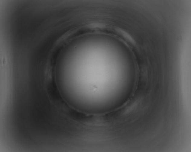 X0000101421016200807071311