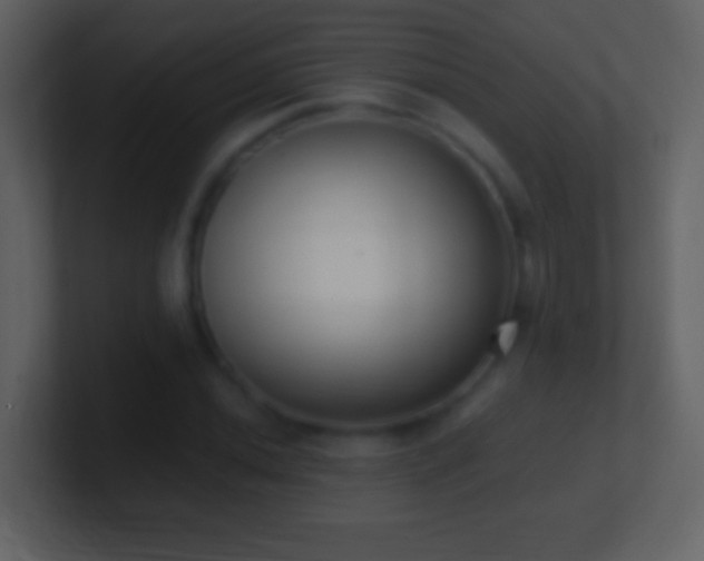 X0000101421020200807071311