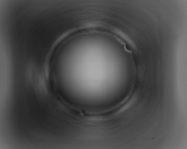 X0000101421021200807071311