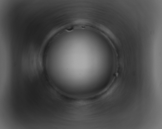 X0000101421022200807071311