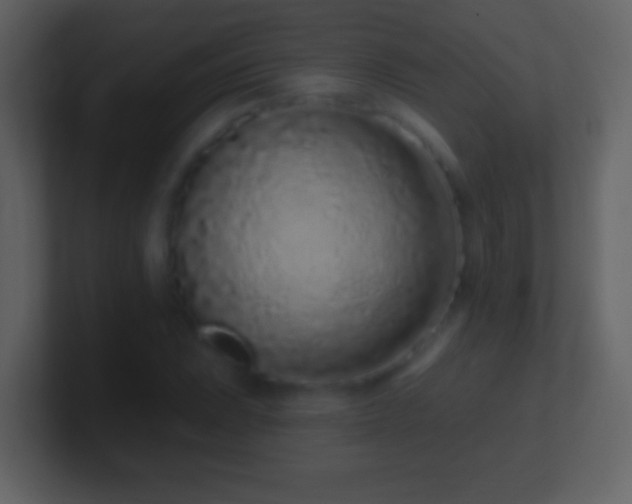 X0000101421023200807071311