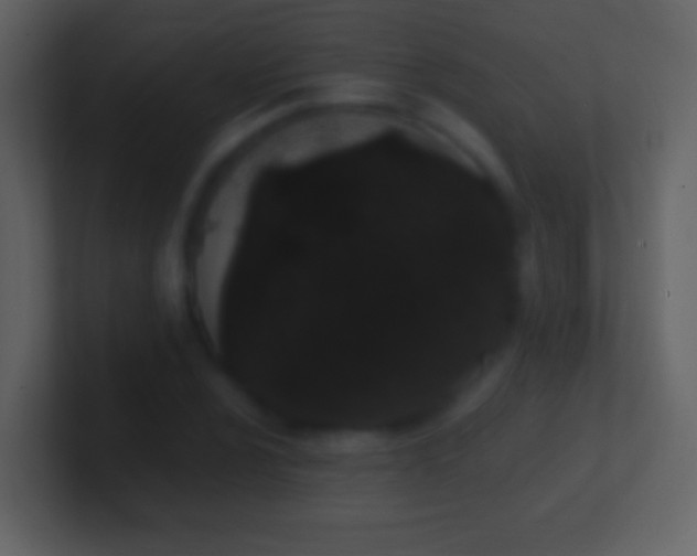 X0000101421024200807071311