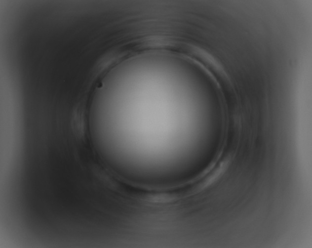 X0000101421025200807071311