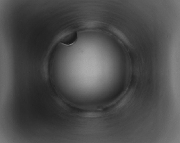X0000101421026200807071311