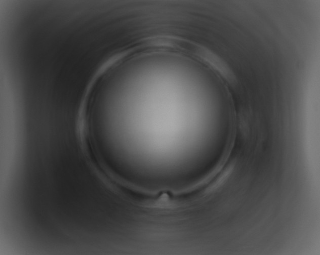 X0000101421028200807071311