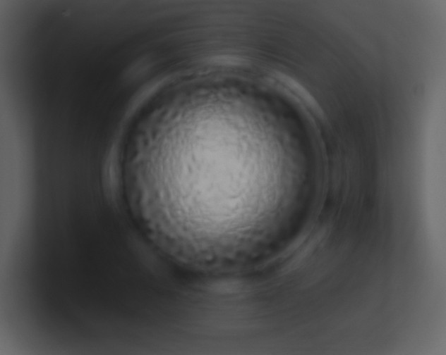 X0000101421031200807071311