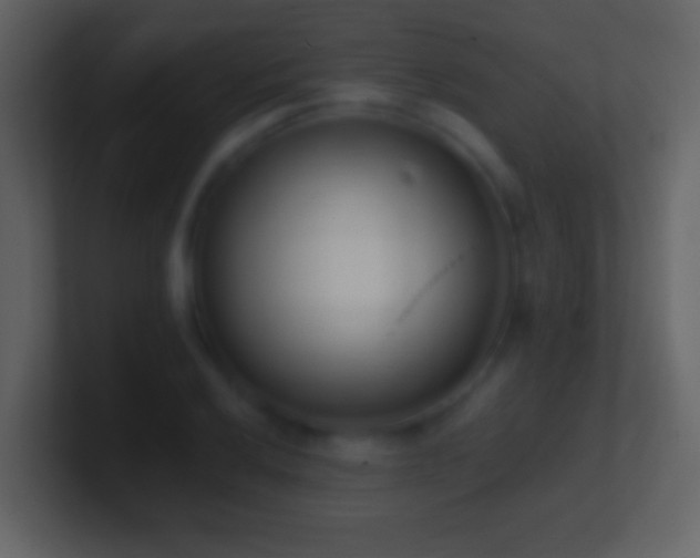 X0000101421032200807071311