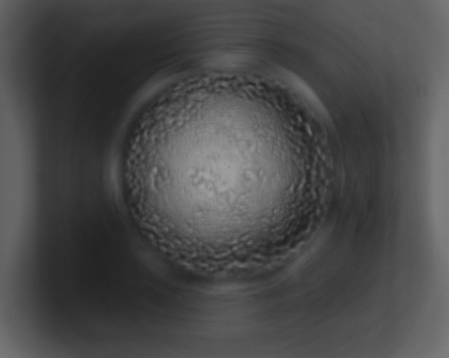 X0000101421035200807071311