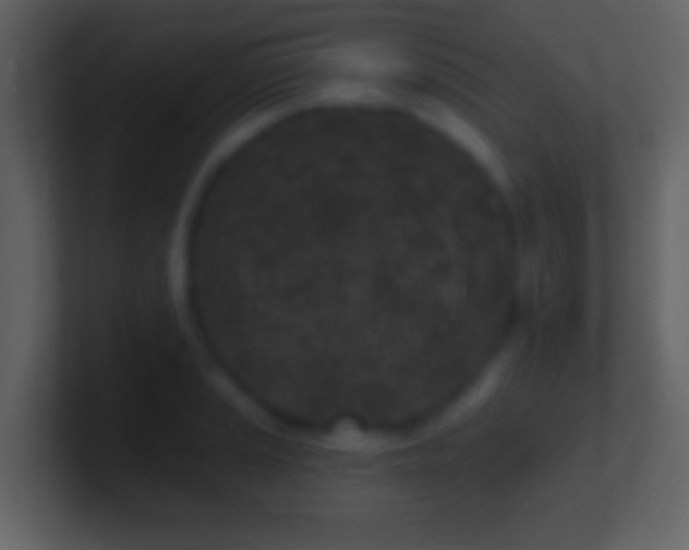 X0000101421037200807071311