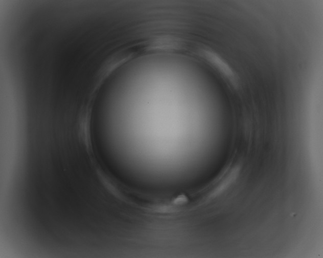 X0000101421041200807071311