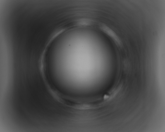 X0000101421042200807071311