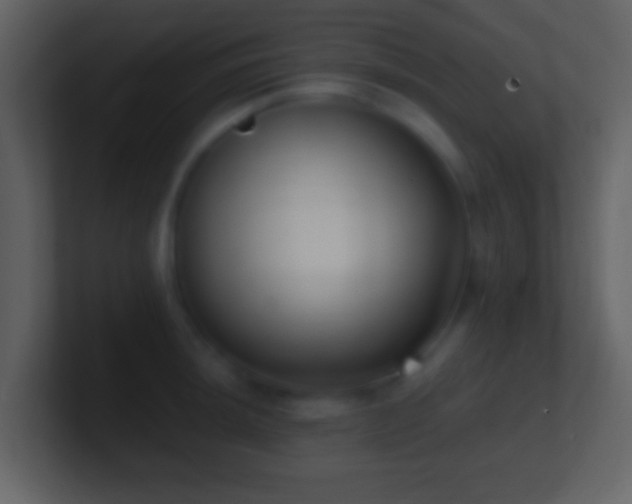 X0000101421044200807071311