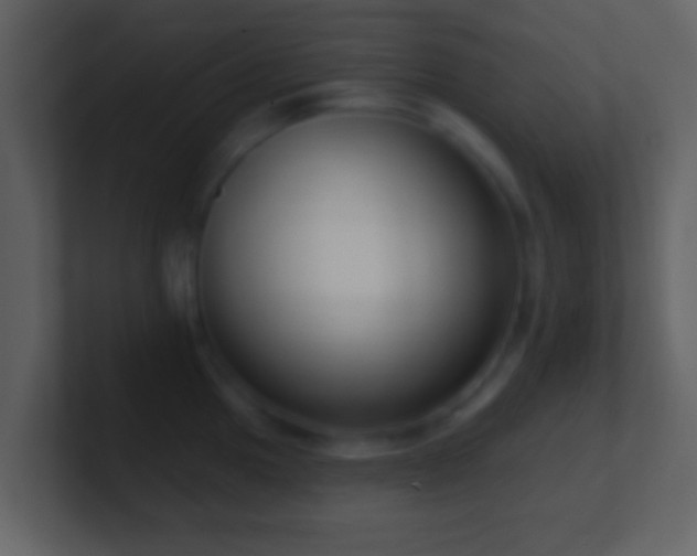 X0000101421049200807071311