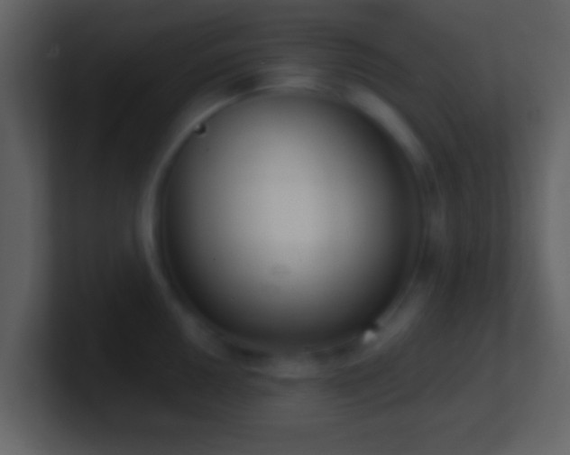 X0000101421050200807071311