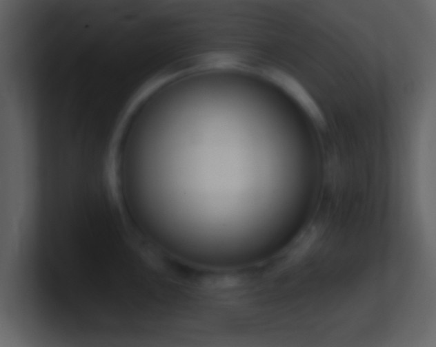 X0000101421051200807071311