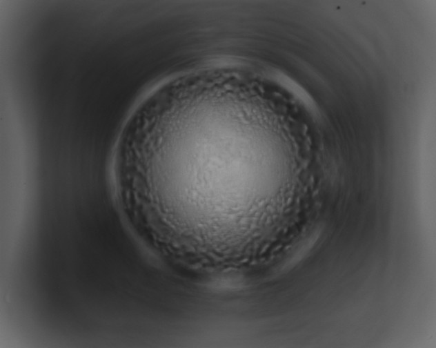 X0000101421055200807071312