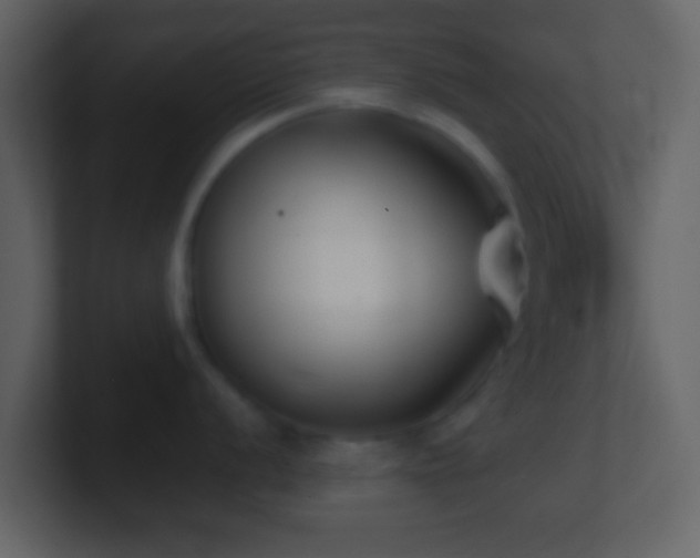 X0000101421056200807071312