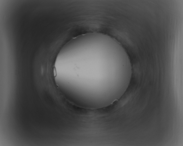 X0000101421057200807071311